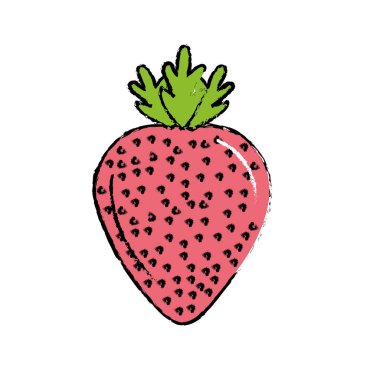 lezzetli ve sağlıklı çilek meyve vektör çizim