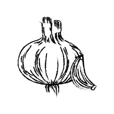 taze sarımsak doğal bitkisel beslenme vektör çizim şekil