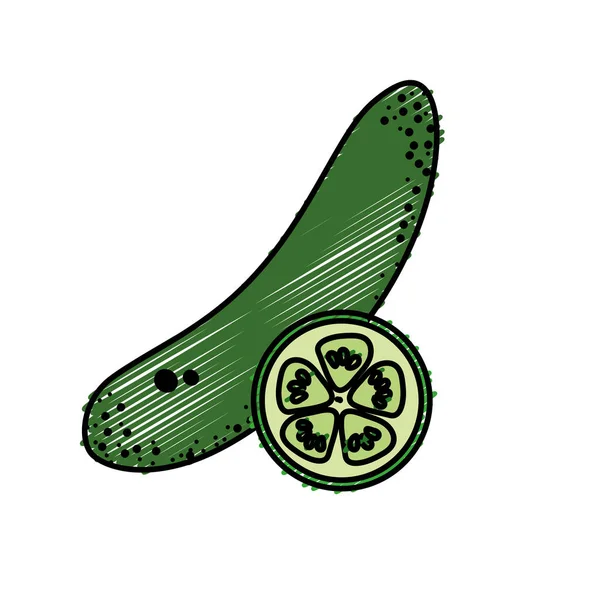 Fresh Cucumber Slice Organ Food Vector Illustration — Stock vektor
