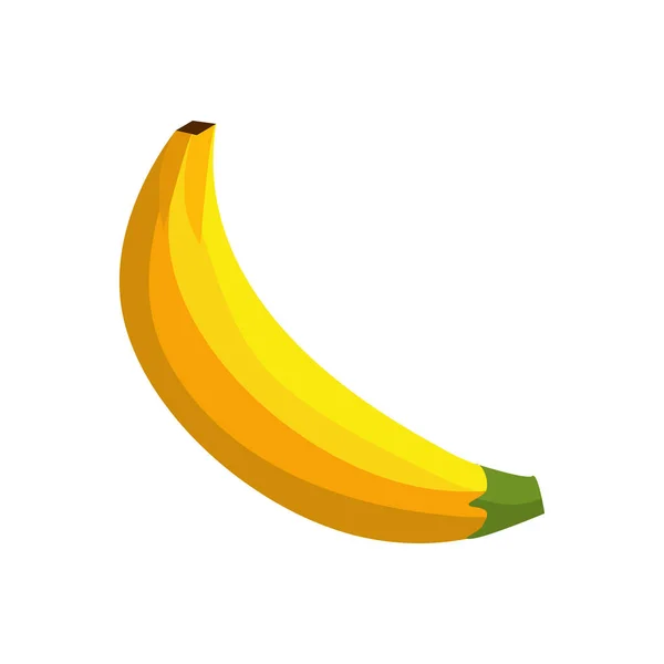 Deliciosas Frutas Tropicales Plátano Diseño Ilustración Vectorial — Vector de stock
