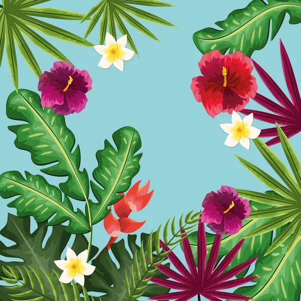 Cute Framework Exotic Flowers Plants Vector Illustration Design — 图库矢量图片