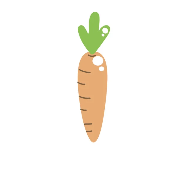 Zanahoria Saludable Comida Vegana Vector Orgánico Ilustración — Vector de stock