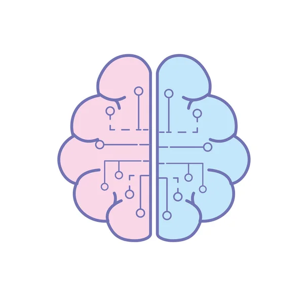 Anatomía Cerebro Con Circuitos Conexión Digital Vector Ilustración — Vector de stock