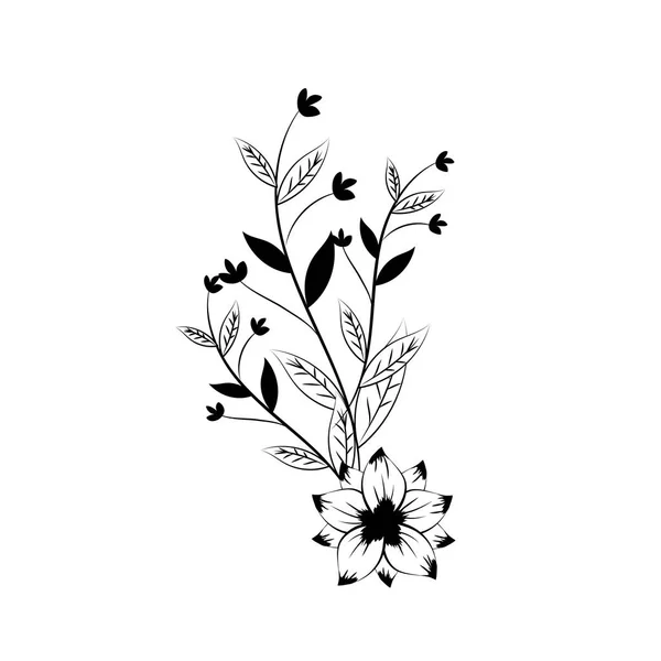 Ramas Con Hojas Flores Decoración Vector Ilustración — Archivo Imágenes Vectoriales