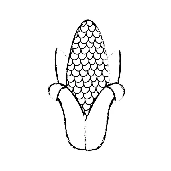 Figura Deliciosa Mazorca Para Comer Alimentos Orgánicos Vector Ilustración — Archivo Imágenes Vectoriales