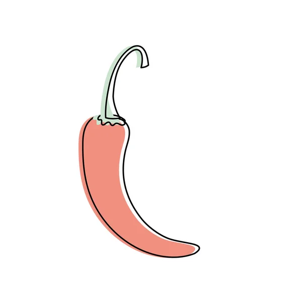 Cayenne Chili Přírodní Zelenina Výživy Vektor Ilustratioon — Stockový vektor