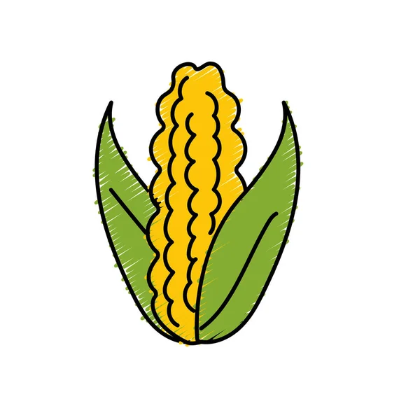 Ilustracja Wektorowa Jedzenie Kukurydzy Cob Pyszne Zdrowe — Wektor stockowy