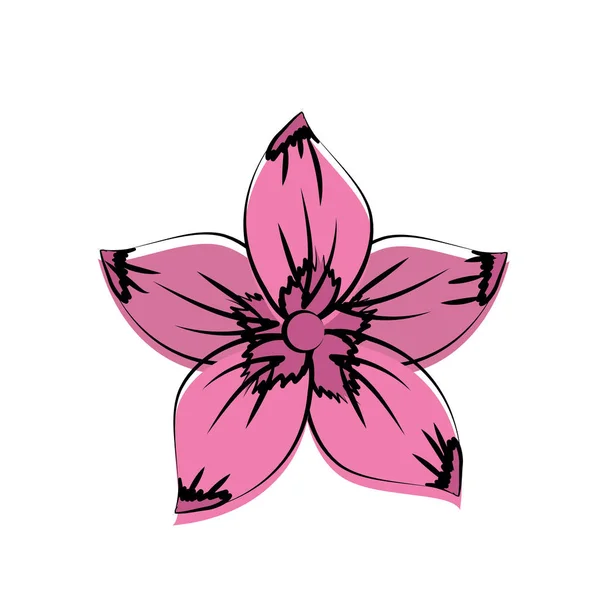 Rustic Flower Natural Petals Vector Illustration — 图库矢量图片