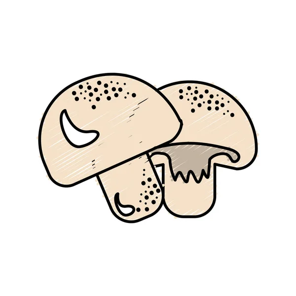 Délicieux Champignons Frais Nourriture Pour Organes Illustration Vectorielle — Image vectorielle