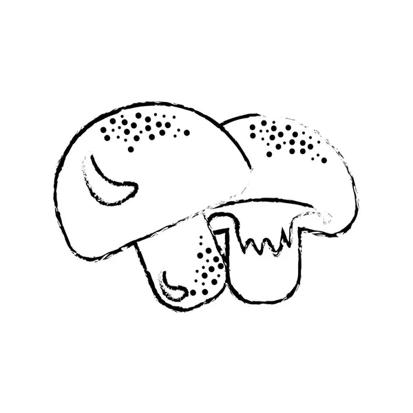 Edge Delicious Fresh Mushrooms Organ Food Vector Illustration — Stock vektor