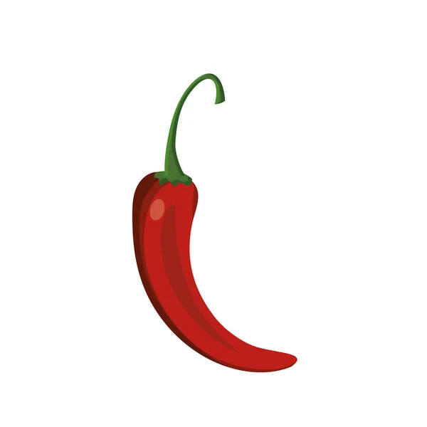 Cayenne Chili Natural Vegetable Nutrition Vector Illustratioon — стоковый вектор