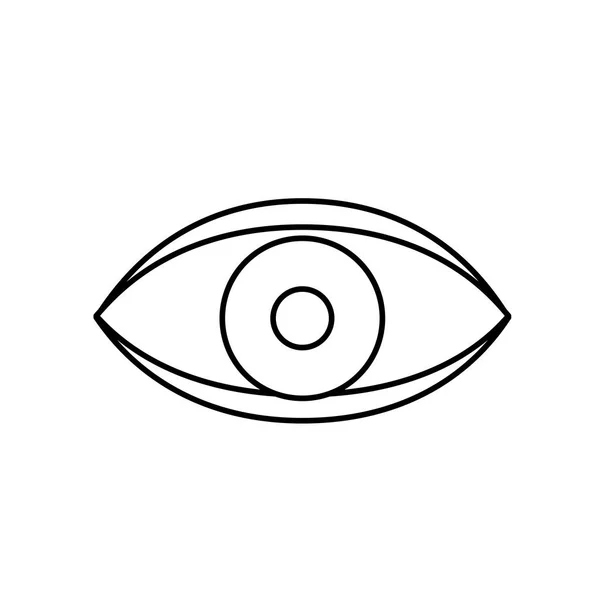 Eye Human Anatomy Optical Graphic Vector Illustration — Stock Vector