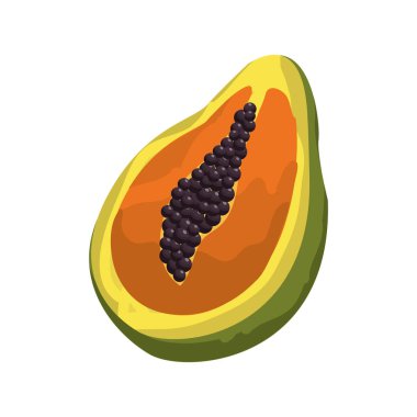lezzetli pawpaw tropik meyve, vektör illüstrasyon tasarım