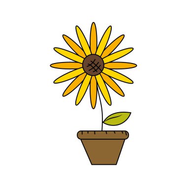 saksı vektör çizim içinde güzel ayçiçeği