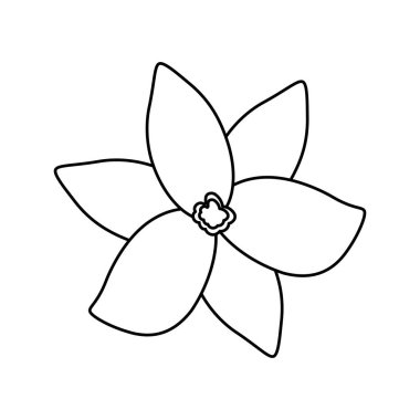 yaprakları ile çizgi güzel ve tropikal çiçek bitkileri, vektör illüstrasyon