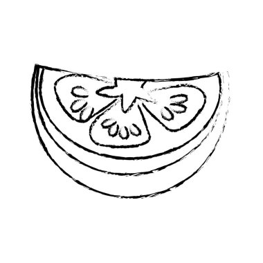 Kenar taze parça limon organ sebze, vektör çizim