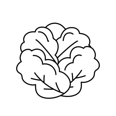 satır lezzetli ve sağlık marul sebze vektör çizim