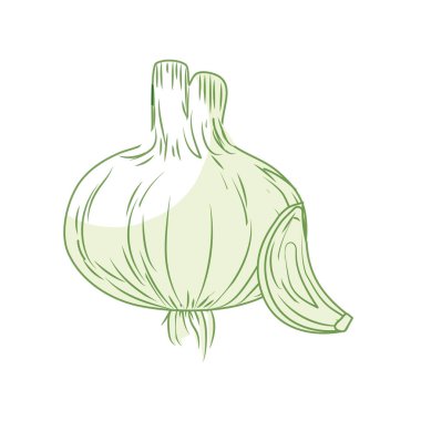 silhouette fresh garlic natural vegetable nutrition vector illustration