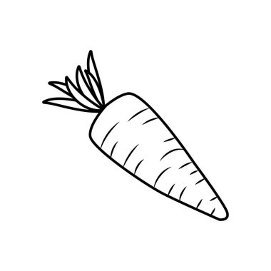 Kenar taze havuç organ sebze gıda, vektör çizim