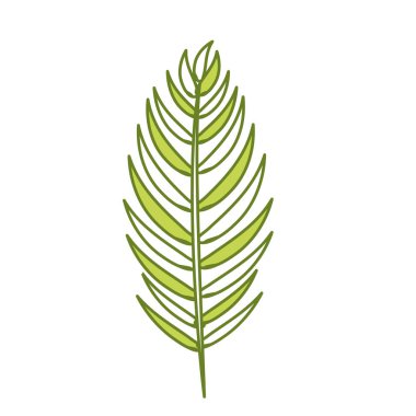 tropikal dal yaprakları bitki, vektör illüstrasyon tasarımı