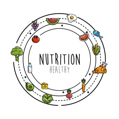 meyve ve sebze protein yiyecek vektör çizim ile