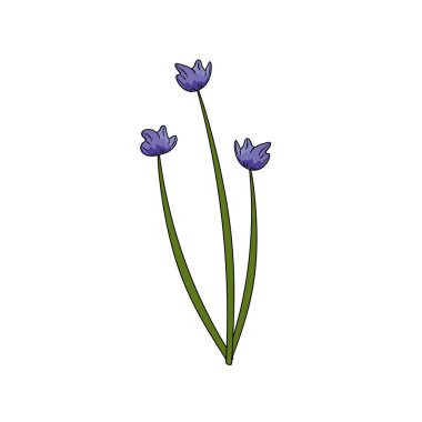 chives plant ingredient to condiment of food vector illustration