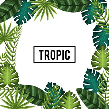 güzel ve egzotik bitkiler arka plan, vektör çizim yaprakları