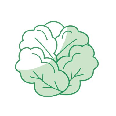 siluet lezzetli ve sağlık marul sebze vektör çizim