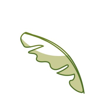 silhouette beautiful leaf of the exotic plants in the forest, vector illustration