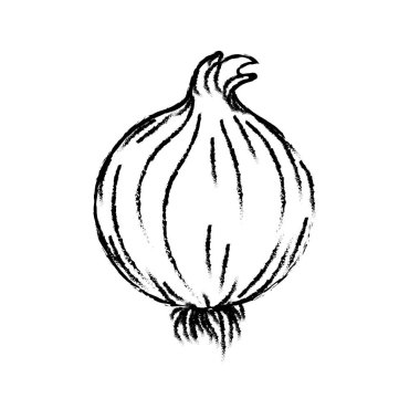 taze soğan doğal bitkisel beslenme vektör çizim şekil
