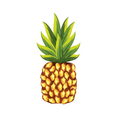 lezzetli ananas tropik meyve, vektör illüstrasyon tasarım