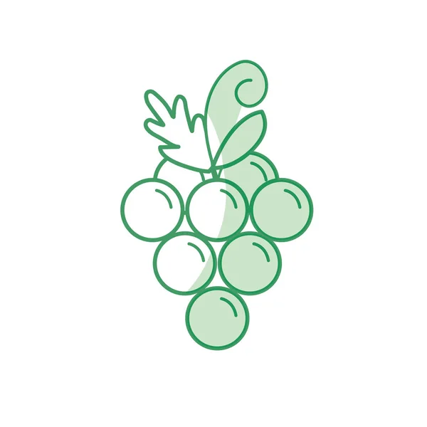 Silhouette Köstliche Und Gesunde Traubenfrucht Vektor Illustration — Stockvektor