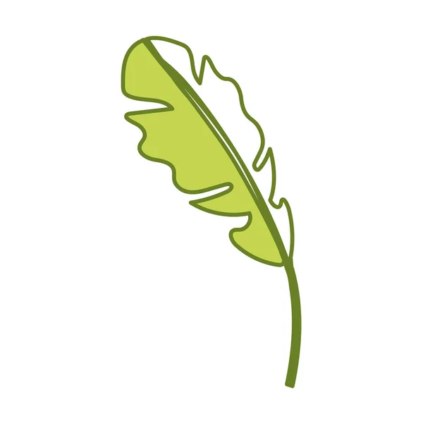 Красивый Лист Экзотических Растений Лесу Векторная Иллюстрация — стоковый вектор