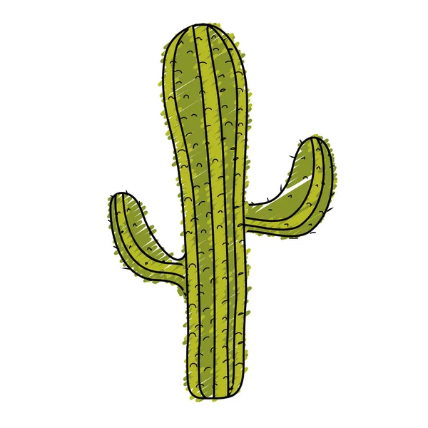 Belle Plante Cactus Illustration Vectorielle Désert — Image vectorielle