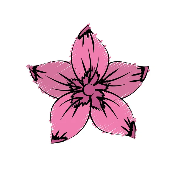 Rustic Flower Natural Petals Vector Illustration — 图库矢量图片