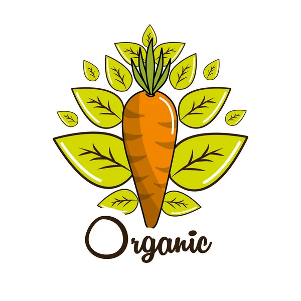 Organik Gıda Simge Stok Vektör Çizim Tasarım — Stok Vektör
