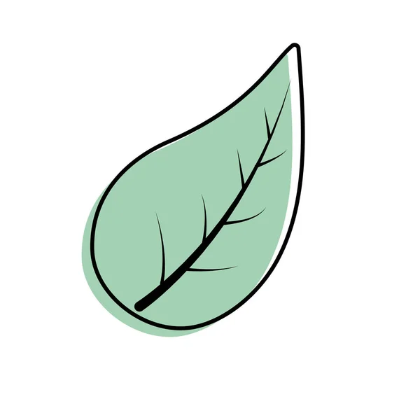 Hoja Natural Planta Botánica Exótica Vector Ilustración — Archivo Imágenes Vectoriales