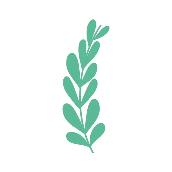 枝の葉植物ベクター イラスト デザイン — ストックベクタ
