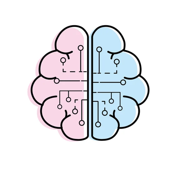 Anatomía Cerebro Con Circuitos Conexión Digital Vector Ilustración — Vector de stock