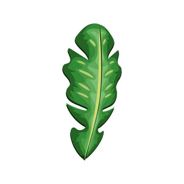 Beautiful Leaf Exotic Plants Forest Vector Illustration — 스톡 벡터