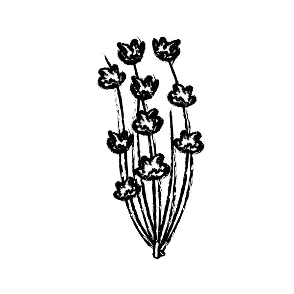 Figura Planta Hierba Belleza Con Ingredientes Orgánicos Vector Ilustración — Archivo Imágenes Vectoriales