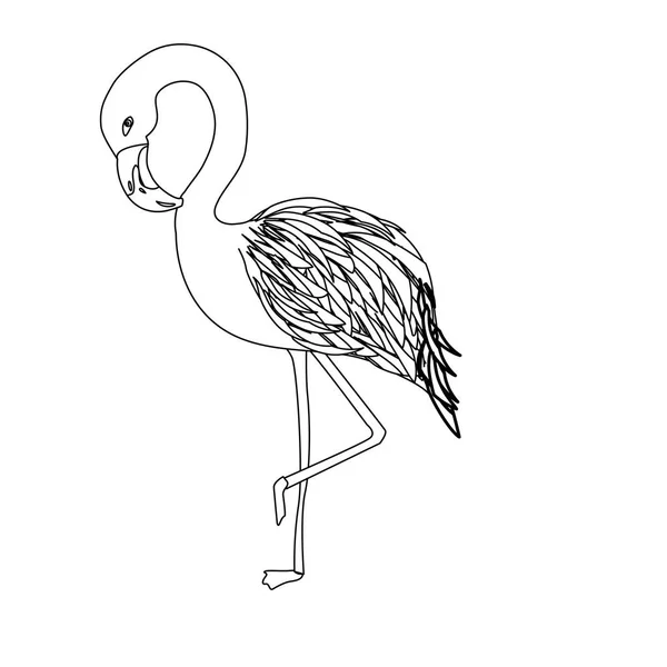 Line Beauty Exotic Flamingo Bird Animal Vector Illustration — Stock Vector