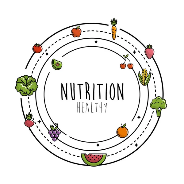 Frutas Verduras Con Ilustración Vectores Alimentos Proteicos — Vector de stock