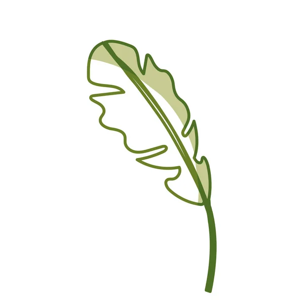 Silhouette Schönes Blatt Der Exotischen Pflanzen Wald Vektorillustration — Stockvektor