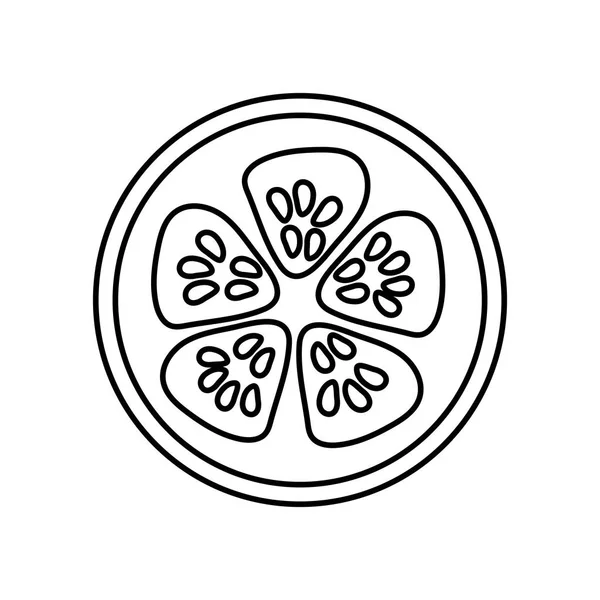 Фігурка Свіжий Шматочок Огіркового Органу Овочевий Векторні Ілюстрації — стоковий вектор