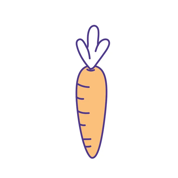 Здорова Морква Веганській Їжі Органічна Векторна Ілюстрація — стоковий вектор