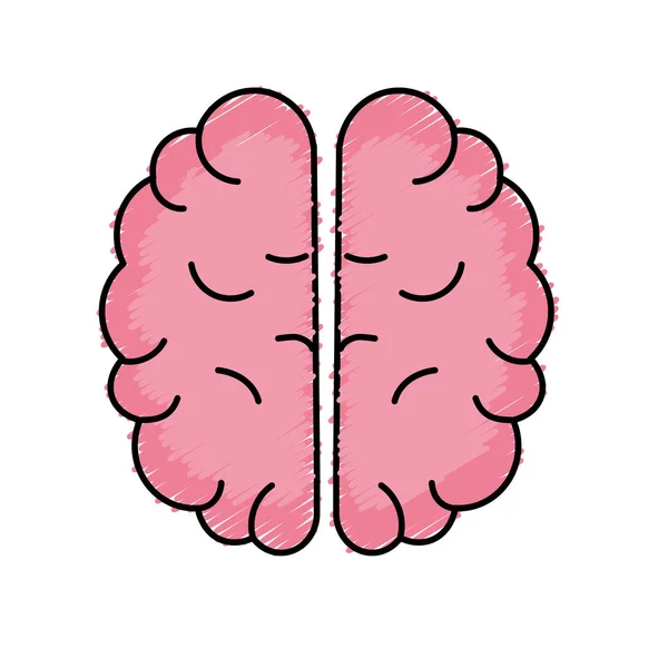 Cerebro Creativo Con Idea Sobre Fondo Blanco Vector Ilustración — Archivo Imágenes Vectoriales