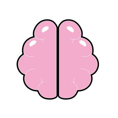 anatomy brain to imagination and memory inspiration vector illustration