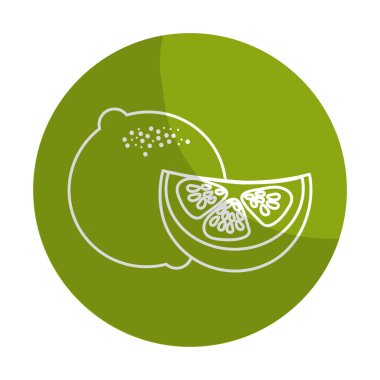 etiket taze limon dilimi organ meyve gıda, vektör çizim ile