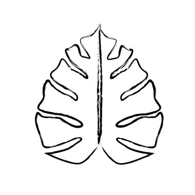 line beautiful leaf of the exotic plants in the forest, vector illustration